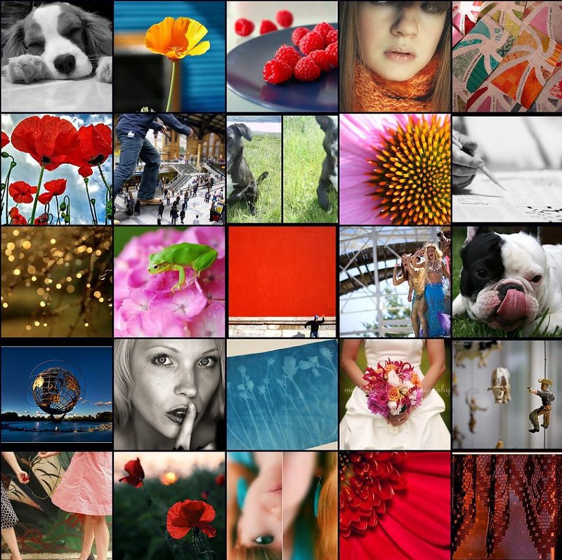 Flickr là gì? Cách lấy backlink từ Flickr 4 Bạn có thể chia sẻ nhiều hơn những bức ảnh yêu thích của bạn trong phần giới thiệu