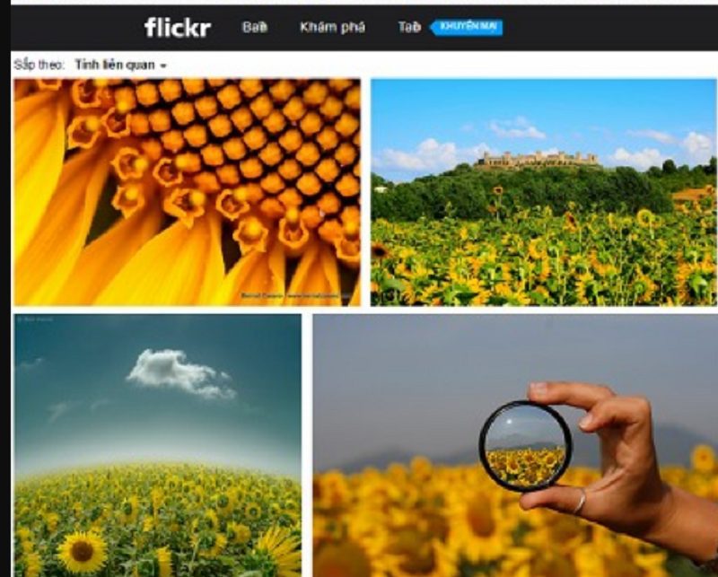 Flickr là gì? Cách lấy backlink từ Flickr 5 Đây là phương pháp tìm kiếm ảnh hiệu quả mà bạn nên dùng