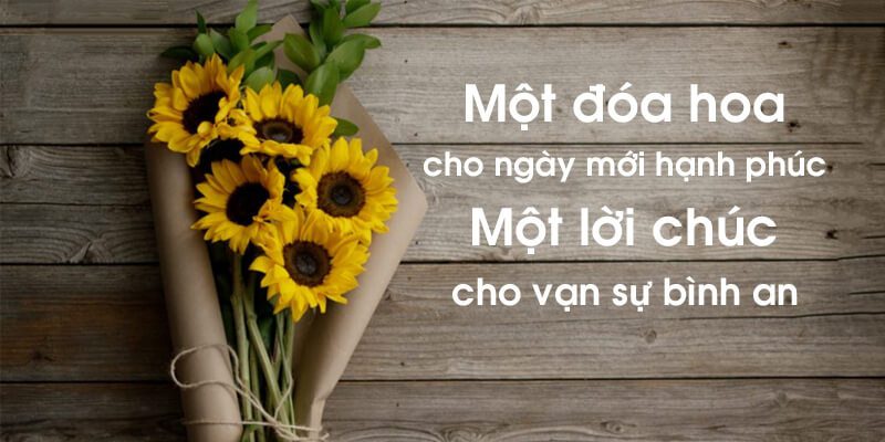 99+ câu rao bán hàng hài hước nhất quả đất 4 Thơ mang lại hiệu ứng thích thú rất tốt