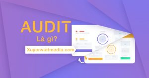 Audit là gì?