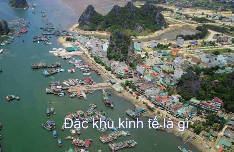 Bán hàng online nên bán gì? Tổng hợp các gợi ý cực hot 2023 12 đặc khu kinh tế