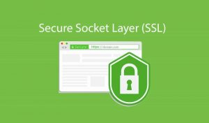 ssl certificate là gì