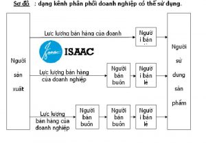 nhà phân phối là gì