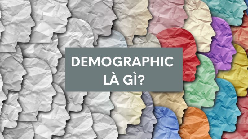 Bán hàng online nên bán gì? Tổng hợp các gợi ý cực hot 2023 11 Demographic là gì