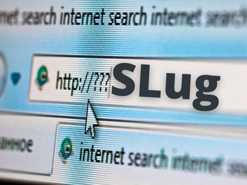 Bán hàng online nên bán gì? Tổng hợp các gợi ý cực hot 2023 16 Slug là gì