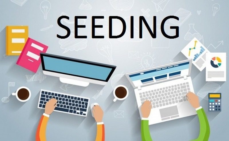 Bán hàng online nên bán gì? Tổng hợp các gợi ý cực hot 2023 11 seeding la gi 1
