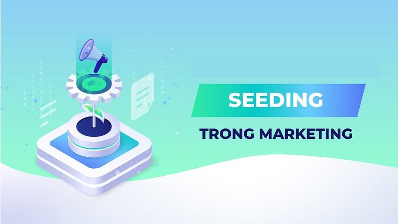 Bán hàng online nên bán gì? Tổng hợp các gợi ý cực hot 2023 13 seeding la gi 3