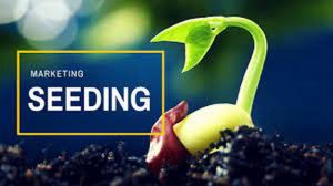 seeding la gi anh dai dien