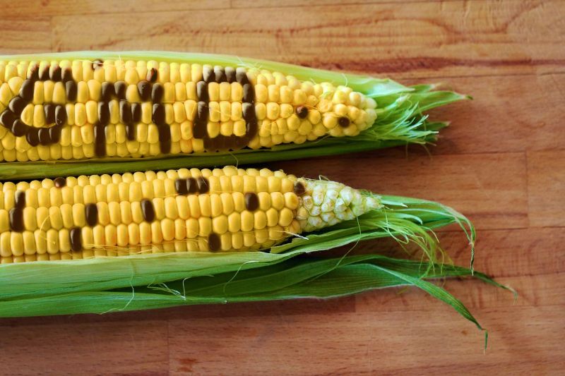Bán hàng online nên bán gì? Tổng hợp các gợi ý cực hot 2023 11 GM Food la gi 1