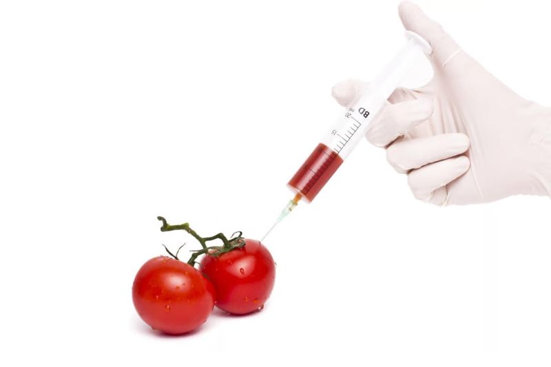 Bán hàng online nên bán gì? Tổng hợp các gợi ý cực hot 2023 12 Bên cạnh những lợi ích thì GM Food có thể gây ra một số bệnh lý