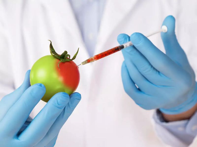 Bán hàng online nên bán gì? Tổng hợp các gợi ý cực hot 2023 14 GM Food giúp cho thực phẩm sống lâu hơn