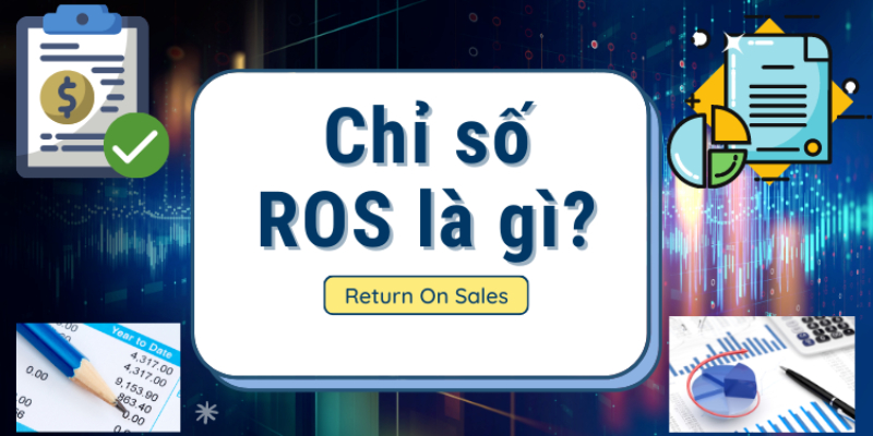 Chỉ số ROS (Return On Sales)