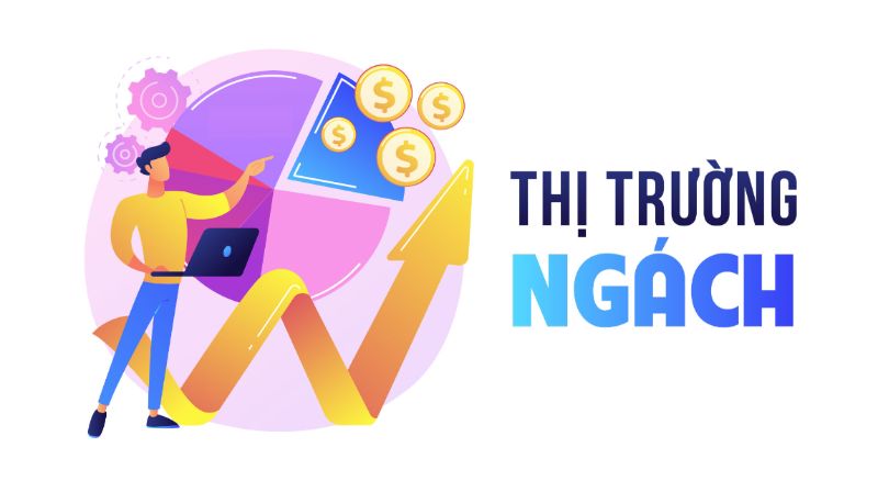Bán hàng online nên bán gì? Tổng hợp các gợi ý cực hot 2023 10 Thị trường ngách tập trung vào nhóm đối tượng cụ thể