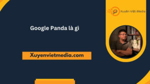 Google Panda