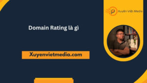 Domain Rating là gì