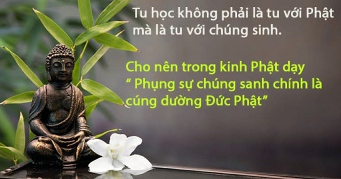 phụng sự xuyên việt