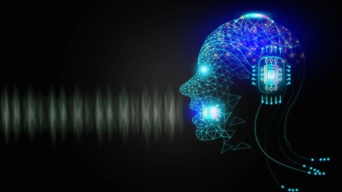 Voice là gì