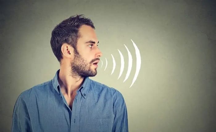 voice