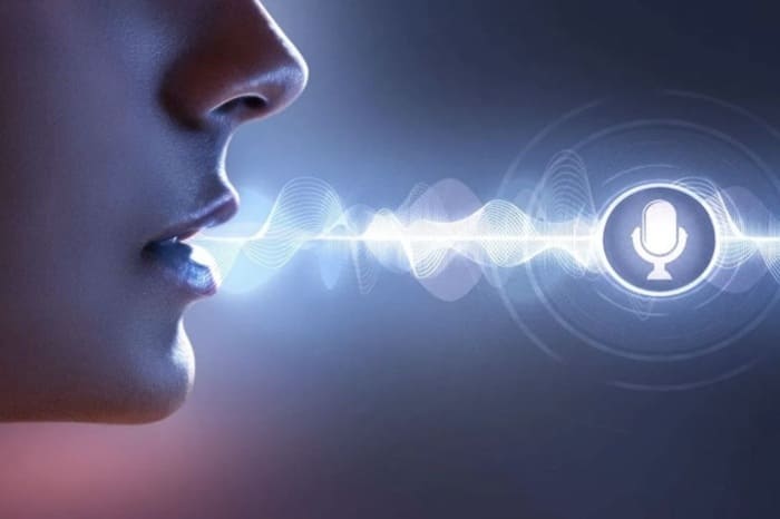 voice là gì