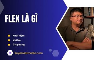 flex là gì