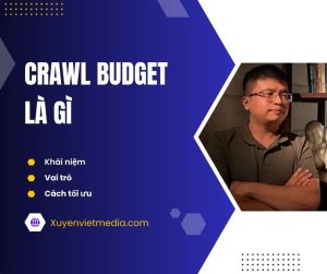 Crawl Budget là gì