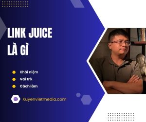Link juice