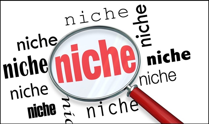 Niche Site là gì: Khám phá tiềm năng bất ngờ của site ngách 1 Niche Site
