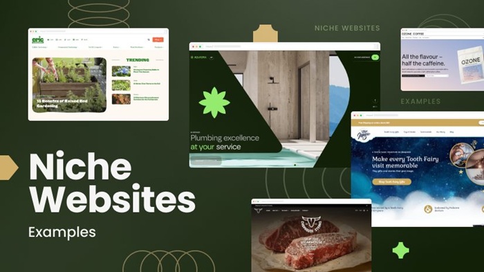 Niche Site là gì: Khám phá tiềm năng bất ngờ của site ngách 2 Niche Site