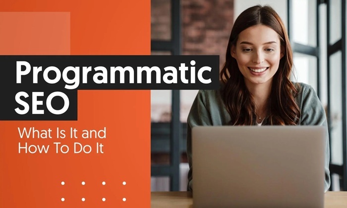Programmatic SEO