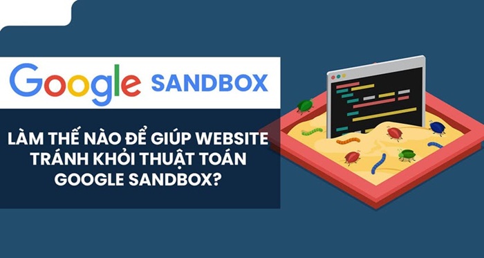 Google Sandbox Là Gì? 7 Cách Thoát Hố Cát Nhanh Nhất 2 Google Sandbox Là Gì