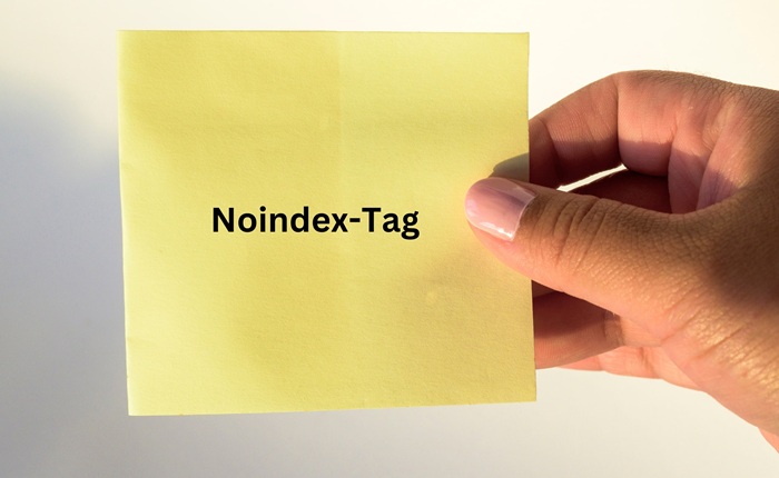 Noindex là gì: Định nghĩa, vai trò và cách tối ưu 2 Noindex là gì