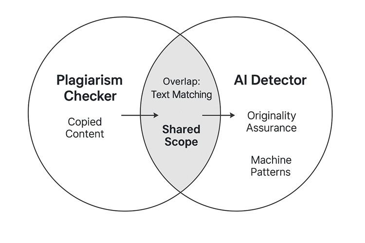 Plagiarism