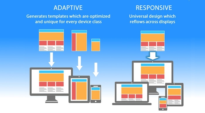 Responsive Images: Hiểu để áp dụng trong SEO 1 Responsive Images