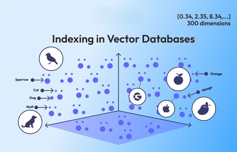 Vector Database SEO