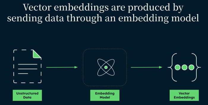 Vector Embedding