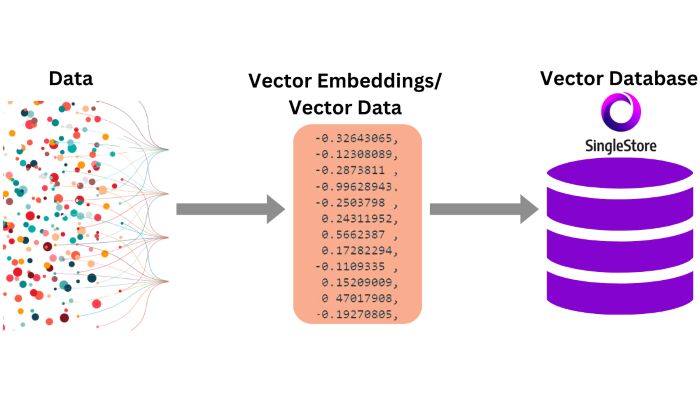 Vector Embedding