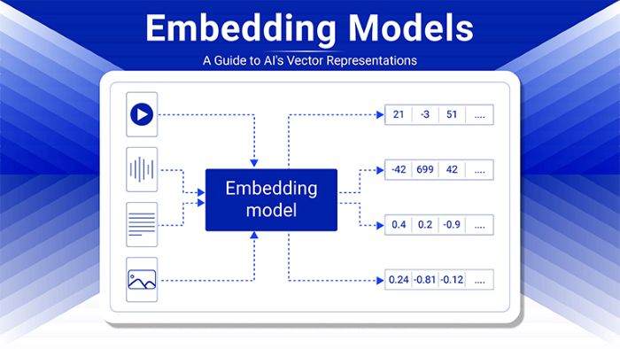 Vector Embedding