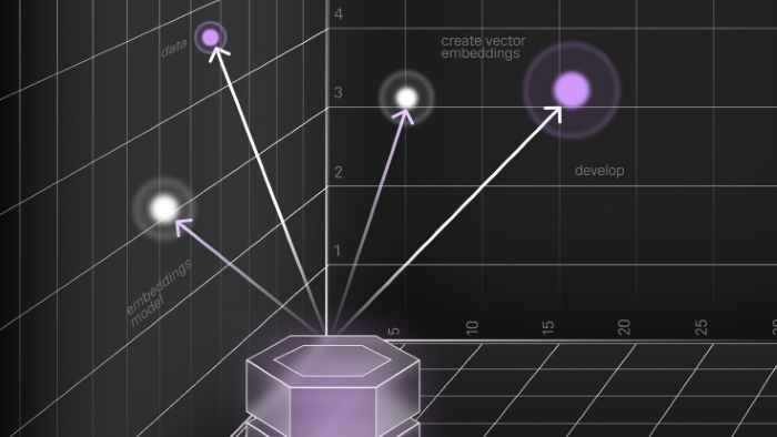 Vector Embedding