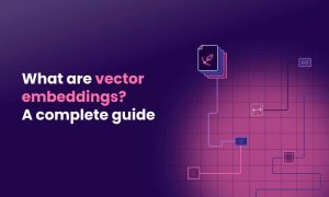 Vector Embedding