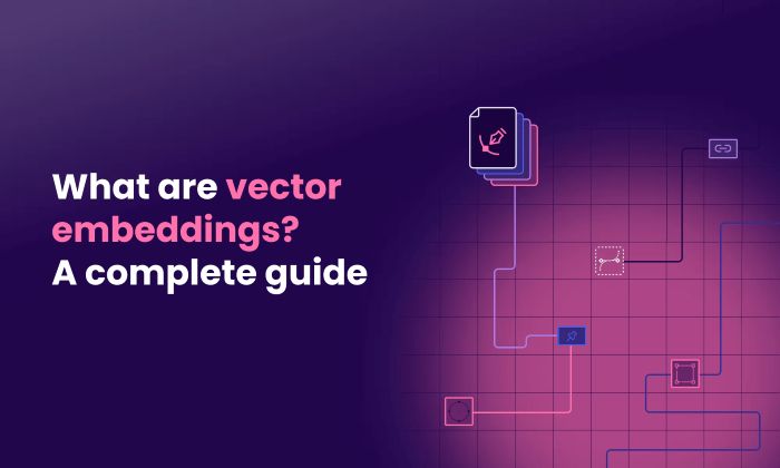 Vector Embedding