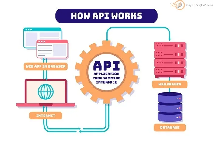 API First Indexing
