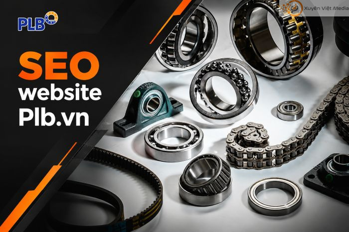 SEO website PLB.vn
