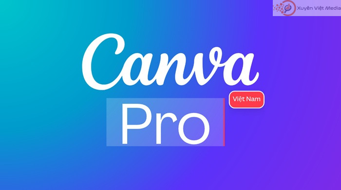 Canva Pro phù hợp với người thiết kế thường xuyên